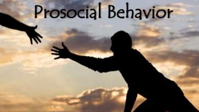 Prosocial Behavior