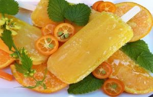 Popsicles of Mandarin Orange Yogurt