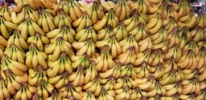 Bananas